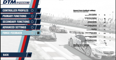 ingame settings dtm2015.PNG