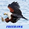 Freehawk